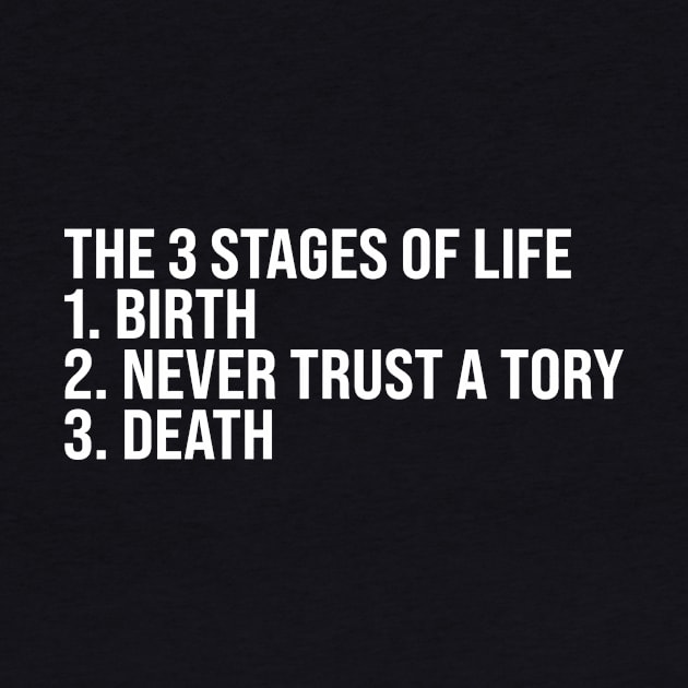 The 3 Stages of Life by n23tees